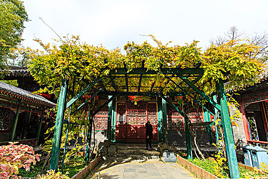 lo bach thu khung 3 ngay mien phi