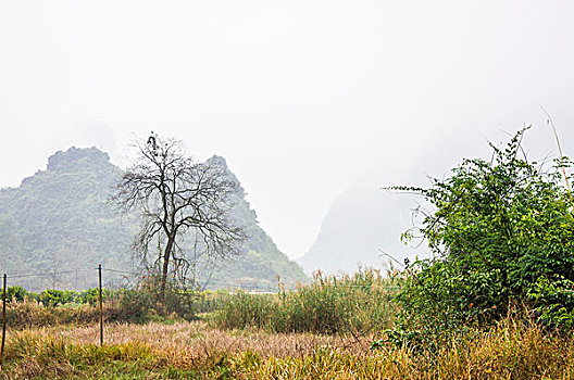 bach thu mien bac hom nay