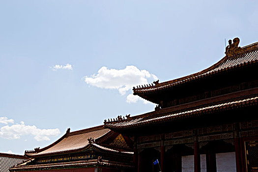 cau mien phi