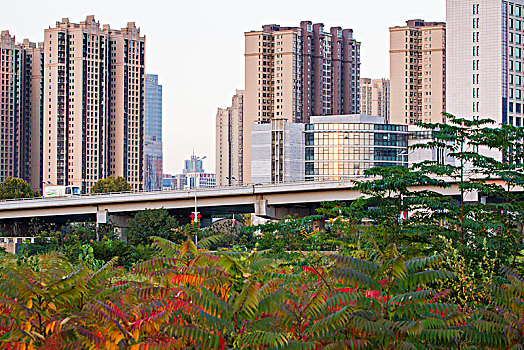 soi cau mien phi 888 org