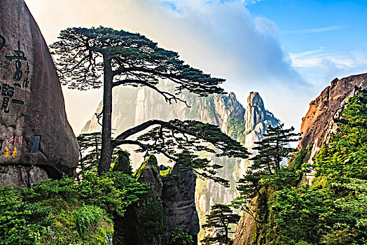 thống kê xổ số tây ninh