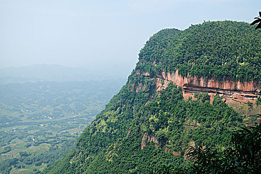 soi cau 135