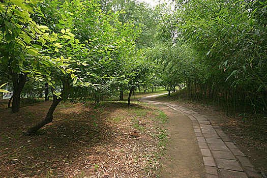 soi cầu bạch thủ đề