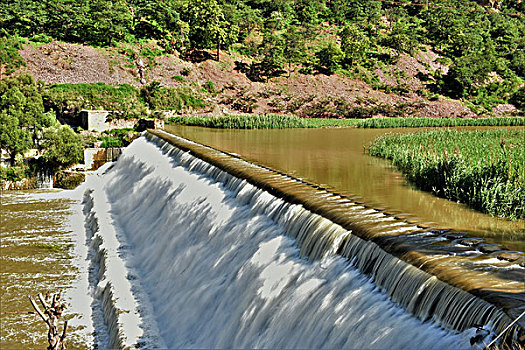 soi câu bach kim